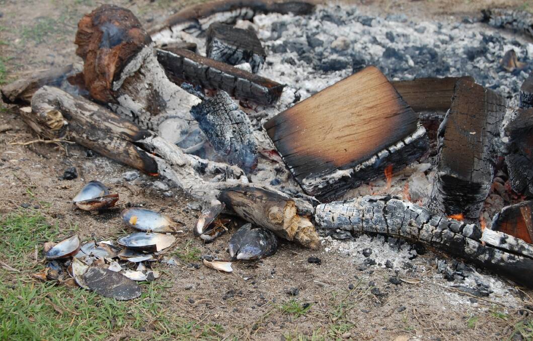 The fire helped welcome attendees alongside Uncle BJ Cruse's speech, and then cooked some freshly harvested oysters for the occasion. Photo: Leah Szanto