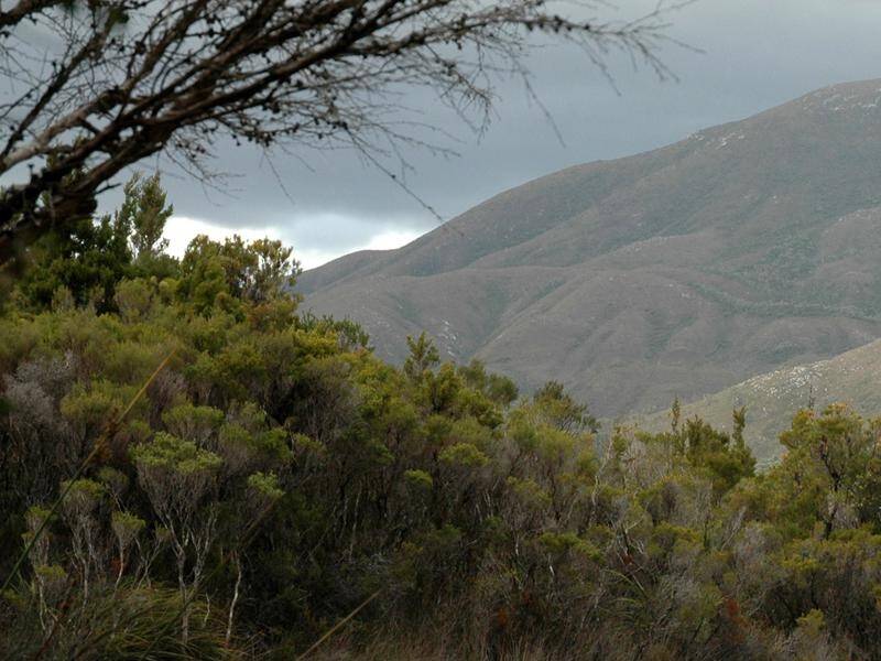 An elderly man who set off on a month-long solo walk in Tasmanian wilderness has been declared dead.