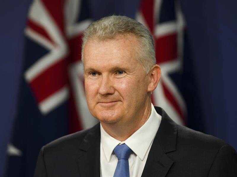 Tony Burke says the government was never serious about giving secure employment to casual workers.