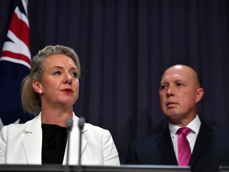 Home Affairs Minister Peter Dutton has defended Senator Bridget McKenzie over a sports grant scandal