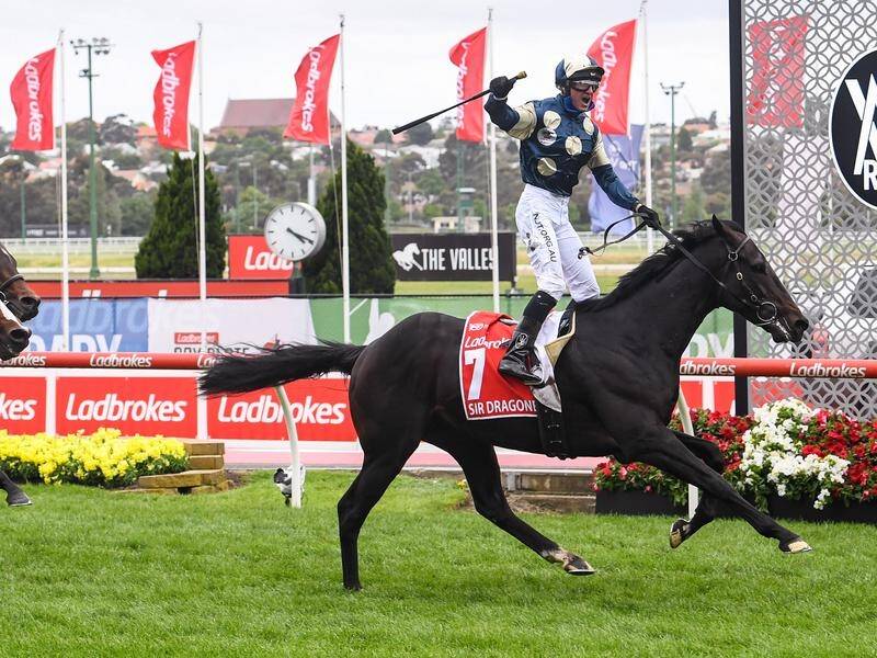 WS Cox Plate winner Sir Dragonet is challenging for outright favouritism in the Melbourne Cup.