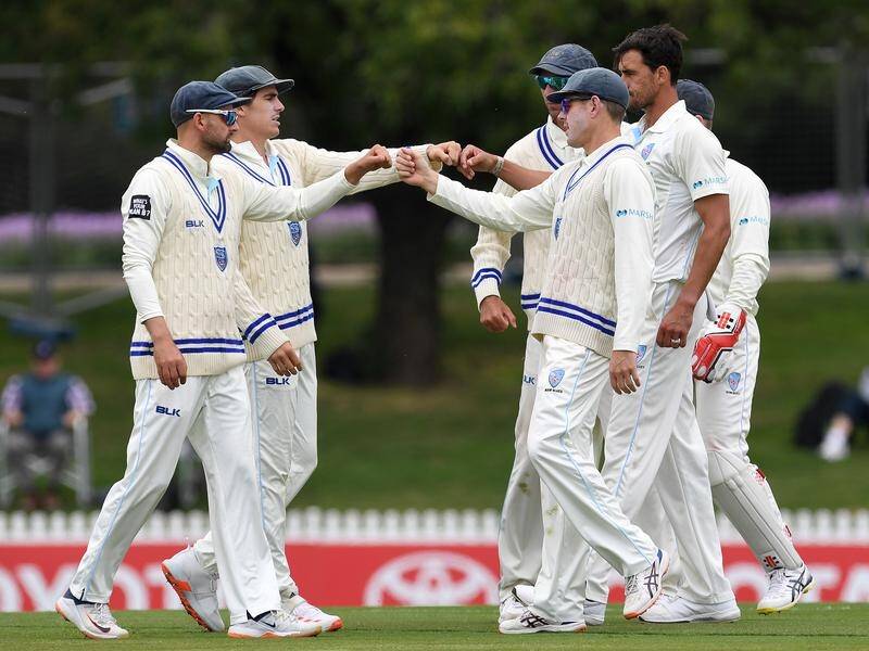 NSW players celebrate another wicket for Mitchell Starc in their Shield match against Queensland.