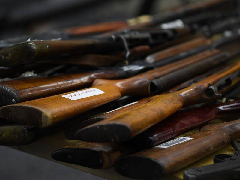 The Liberal and Labor parties have promised to amend changes to Tasmania's gun laws. (Dean Lewins/AAP PHOTOS)
