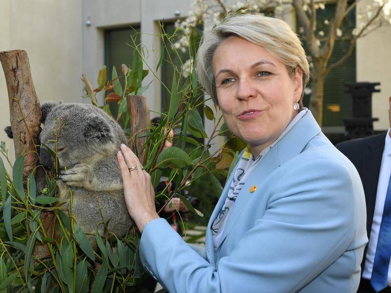 Environment Minister Tanya Plibersek added 15 species to a list of threatened plants and animals. (Mick Tsikas/AAP PHOTOS)