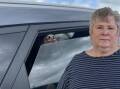 RSPCA Tasmania chief executive Jan Davis (inset) is warning dog owners about car heat dangers. Pictures: Supplied/Craig George