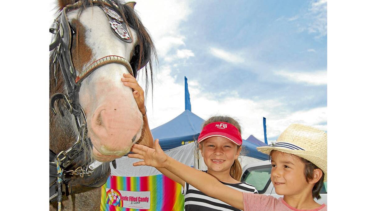 • Dakoda (left) and Sonny Martin from Port Macquarie had a great time at the 2013 Pambula Show. They are pictured patting Clydesdale Claude.