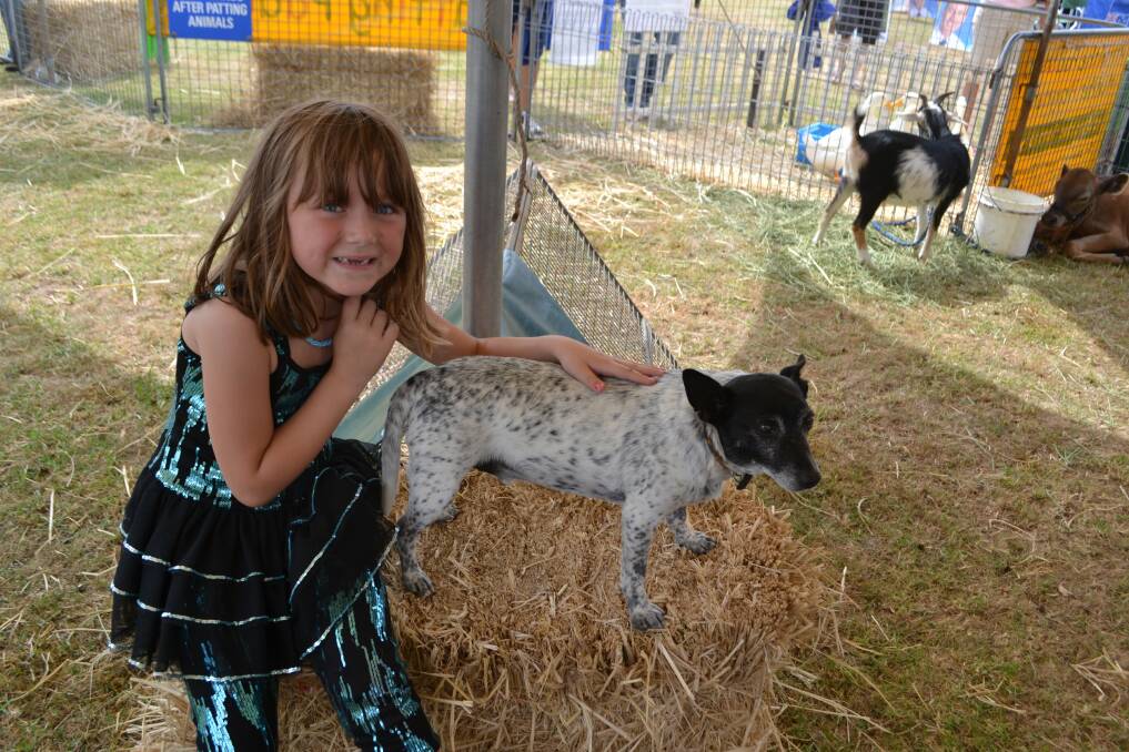 Pepi the Fox Terrier enjoyed a pat from five-year-old Tayah Hill (“I’m six in five days!)from Pambula. Happy birthday Tayah!