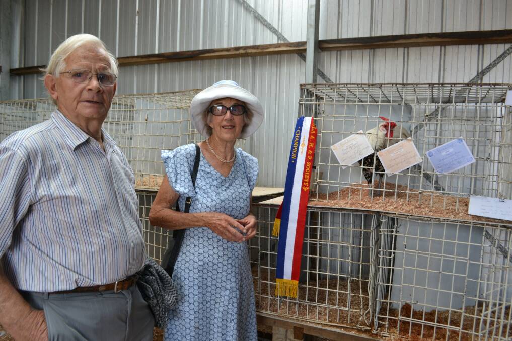 Jim Gall and Margaret Sheaves of Eden admire the poultry champion rooster.