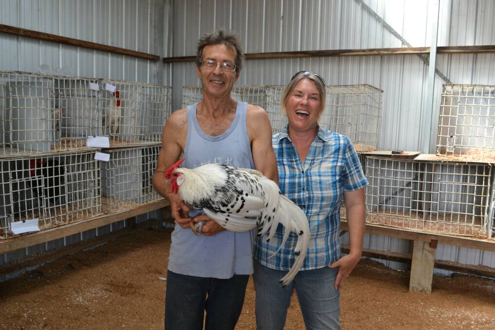 Poultry judge Tabitha Bilaniwskyj-Zarins with champion bird of the show, a Silver Spangled Hamburgh cock bird, and his owner Stephen Robertson from Devil’s Hole.
